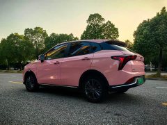 Neta V 2021 Long-Range Industry Custom Edition - ფოტო 4