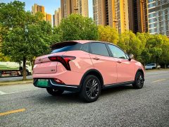 Neta V 2021 Long-Range Industry Custom Edition - ფოტო 6