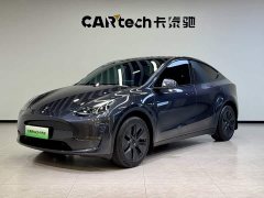 Tesla Model Y Long Range All-Wheel Drive - ფოტო 1