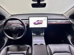 Tesla Model Y Long Range All-Wheel Drive - ფოტო 13