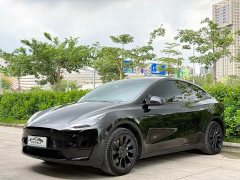Tesla Model Y Rear-Wheel Drive - ფოტო 1