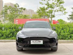 Tesla Model Y Rear-Wheel Drive - ფოტო 2