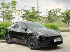 Tesla Model Y Rear-Wheel Drive - ფოტო 3