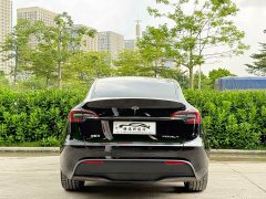Tesla Model Y Rear-Wheel Drive - ფოტო 5