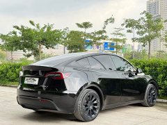 Tesla Model Y Rear-Wheel Drive - ფოტო 6