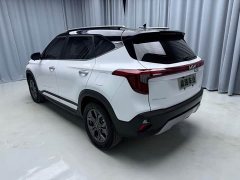 Kia Situs 1.5L CVT Luxury - ფოტო 3