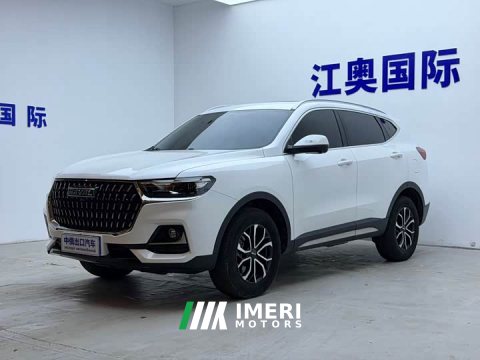 2023 Haval H6 National Trend Edition 1.5T Automatic Urban Version - ავტომობილი ჩინეთიდან