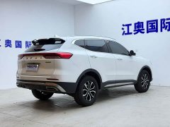 Haval H6 National Trend Edition 1.5T Automatic Urban Version - ფოტო 18