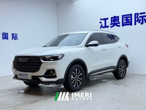 2023 Haval H6 National Trend Edition 1.5T Automatic Urban Version - ავტომობილი ჩინეთიდან