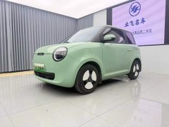 Changan Lumin 2023 205km Xiangqin Edition - ფოტო 1