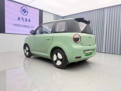 Changan Lumin 2023 205km Xiangqin Edition - ფოტო 6