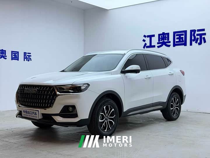 Haval H6 National Trend Edition 1.5T Automatic Urban Version - ავტომობილი ჩინეთიდან