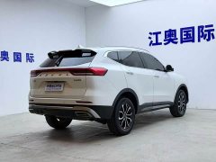 Haval H6 National Trend Edition 1.5T Automatic Urban Version - ფოტო 19