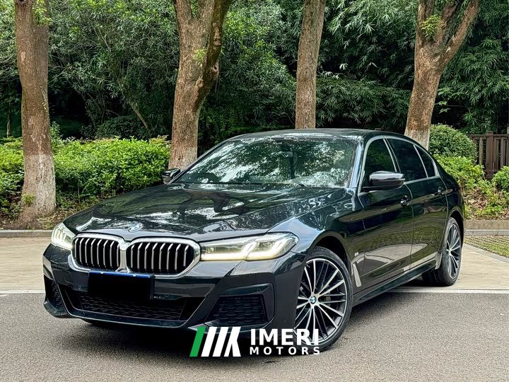 BMW 5 Series 530Li Premier M Sport Package - ავტომობილი ჩინეთიდან