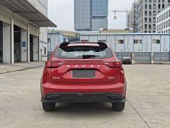 Haval Chitu Jingxiang Edition 1.5T Purple Copper Rabbit - ფოტო 6