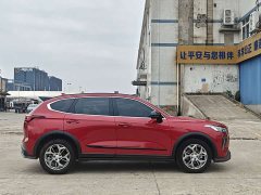 Haval Chitu Jingxiang Edition 1.5T Purple Copper Rabbit - ფოტო 8