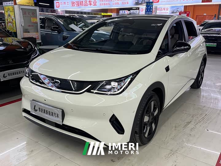 BYD Dolphin Smart Drive 410km Fashion Edition - ავტომობილი ჩინეთიდან