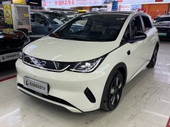 BYD Dolphin Smart Drive 410km Fashion Edition - ფოტო 1