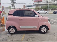 FAW Besturn Xiaoma 222km Lingxi Ma - ფოტო 12