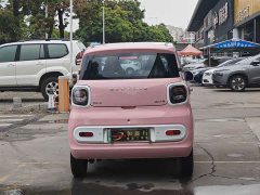 FAW Besturn Xiaoma 222km Lingxi Ma - ფოტო 13