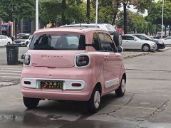 FAW Besturn Xiaoma 222km Lingxi Ma - ფოტო 14