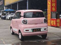FAW Besturn Xiaoma 222km Lingxi Ma - ფოტო 15