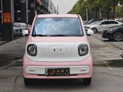 FAW Besturn Xiaoma 222km Lingxi Ma - ფოტო 2
