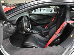 McLaren GT 2019 4.0T Standard - ფოტო 18