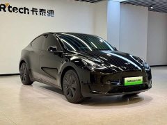 Tesla Model Y Rear-Wheel Drive - ფოტო 2