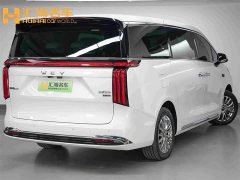 Great Wall WEY Shanshan New Energy 2025 Four-Wheel Drive Shanshan 8 - ფოტო 6