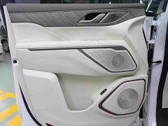 Great Wall WEY Shanshan New Energy 2025 Four-Wheel Drive Shanshan 8 - ფოტო 9
