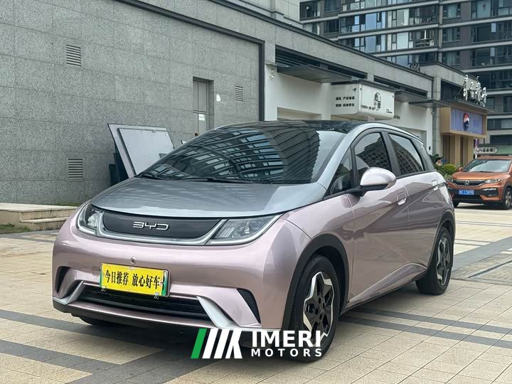 BYD Dolphin 405km Fashion Edition - ავტომობილი ჩინეთიდან