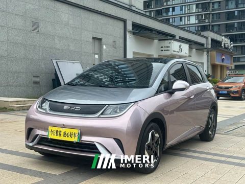 2022 BYD Dolphin 405km Fashion Edition - ავტომობილი ჩინეთიდან