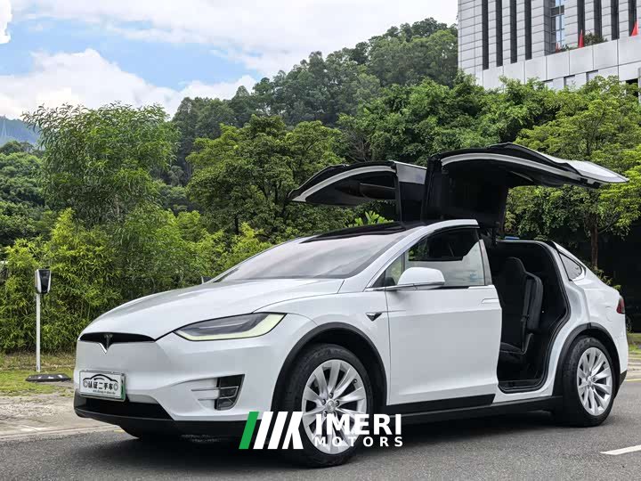 Tesla Model X 2020 Long Range Plus - ავტომობილი ჩინეთიდან