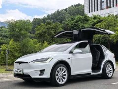 Tesla Model X 2020 Long Range Plus - ფოტო 1