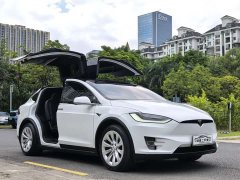 Tesla Model X 2020 Long Range Plus - ფოტო 3