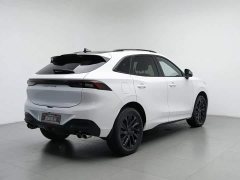 Dongfeng Fenghang T5 EVO 1.5TD DCT Star Shine Edition - ფოტო 2