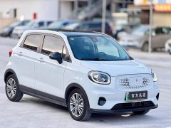 Leapmotor Leapo T03 400 Luxury Edition - ფოტო 3
