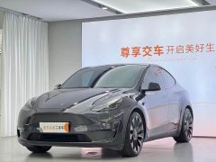 Tesla Model Y Performance All-Wheel Drive - ფოტო 1