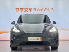 Tesla Model Y Performance All-Wheel Drive - ფოტო 2