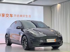 Tesla Model Y Performance All-Wheel Drive - ფოტო 3
