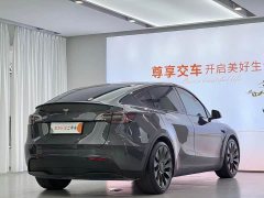 Tesla Model Y Performance All-Wheel Drive - ფოტო 7