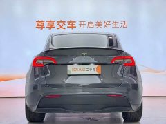 Tesla Model Y Performance All-Wheel Drive - ფოტო 8