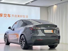 Tesla Model Y Performance All-Wheel Drive - ფოტო 9