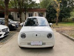 ORA Black Cat 2021 301km Base - ფოტო 2