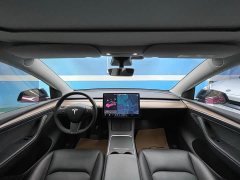 Tesla Model Y Long Range All-Wheel Drive - ფოტო 19