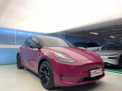 Tesla Model Y Long Range All-Wheel Drive - ფოტო 4