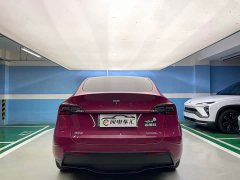 Tesla Model Y Long Range All-Wheel Drive - ფოტო 8