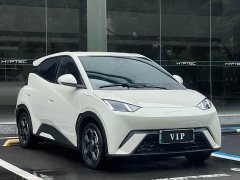 BYD Seagull Flying Edition - ფოტო 2