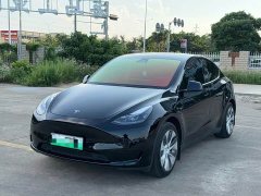 Tesla Model Y Rear-Wheel Drive - ფოტო 1